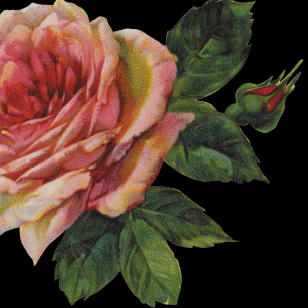 Meet your Posher, Kennedi